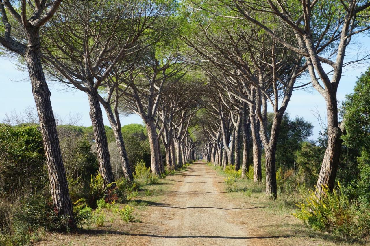 Tenuta San Carlo Hotel Marina Di Grosseto Esterno foto