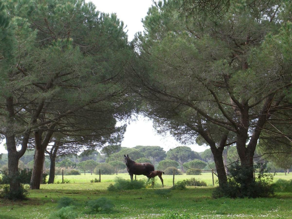 Tenuta San Carlo Hotel Marina Di Grosseto Esterno foto