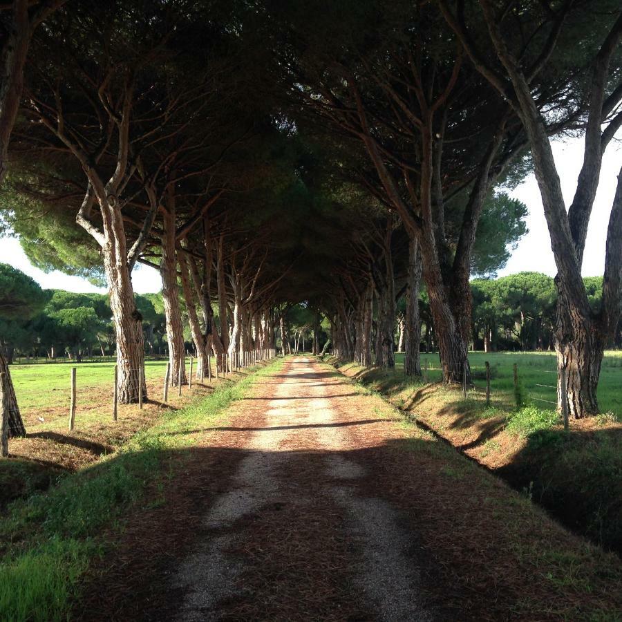 Tenuta San Carlo Hotel Marina Di Grosseto Esterno foto